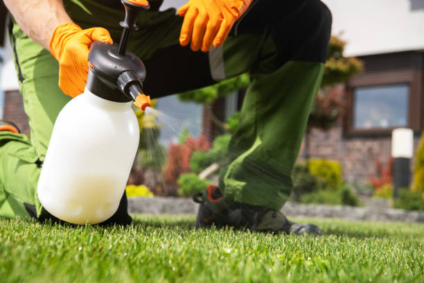Pest Prevention Services in Pine Ridge, FL