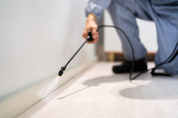 Best Pest Prevention Services  in Pine Ridge, FL