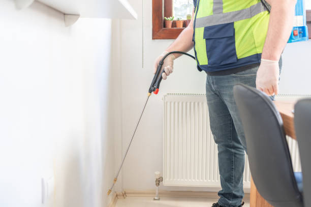 Best Ant Control Services  in Pine Ridge, FL