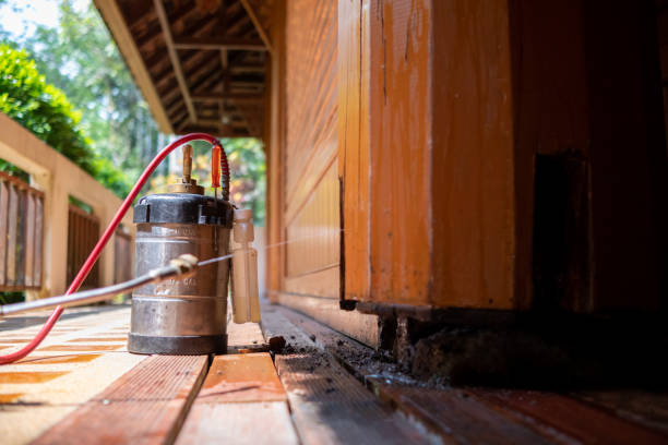 Best Affordable Pest Control Services  in Pine Ridge, FL
