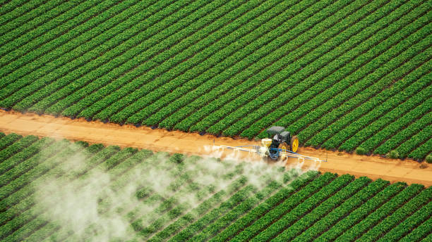 Pest Control for Restaurants in Pine Ridge, FL