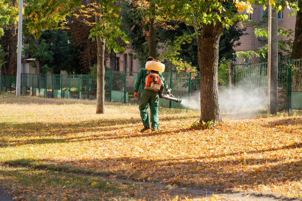 Best Pest Control Near Me in Pine Ridge, FL