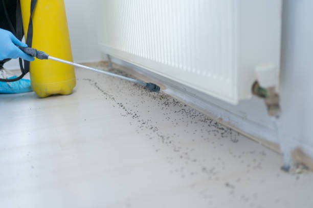 Best Commercial Pest Control Services  in Pine Ridge, FL