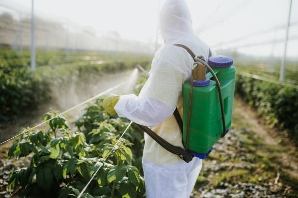 Best Best Pest Control Companies  in Pine Ridge, FL